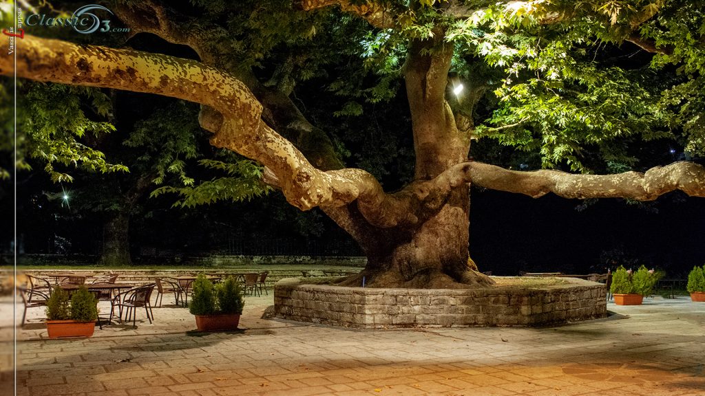 Βίτσα "Ο Φυσικός μας Πλούτος-Vassilis Lappas photography