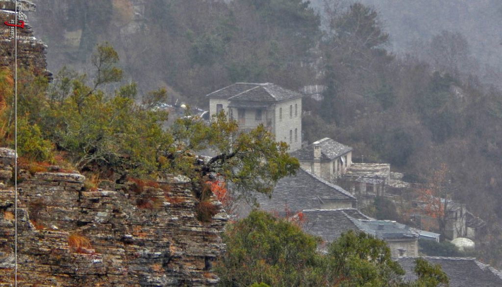 Βίτσα "Ο Φυσικός μας Πλούτος-Vassilis Lappas photography