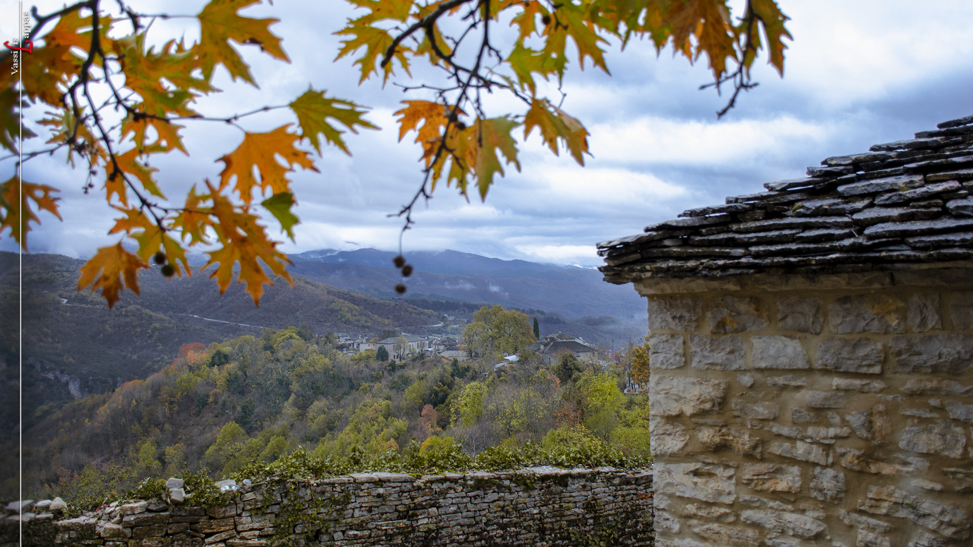 Βίτσα – Ο Φυσικός μας Πλούτος Βίτσα – Ο Φυσικός μας Πλούτος