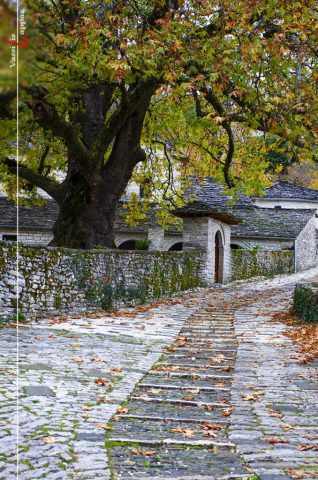 STA MONOPATIA THS HPEIROY-Vassilis Lappas photography-002