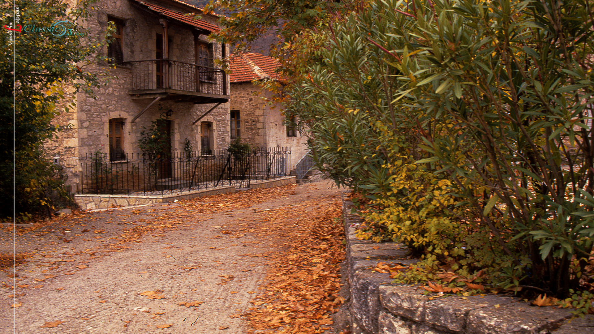 Free photo download