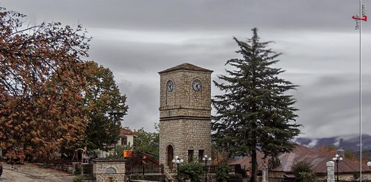 Βήσσανη της Κοντούλας Λεμονιάς-05