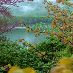 Ζαραβίνα- ένα διαμάντι στο Πωγώνι