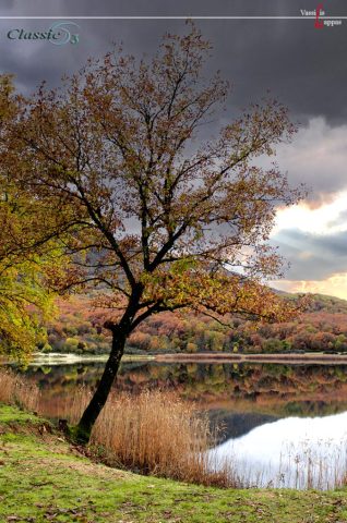 Ζαραβίνα- ένα διαμάντι στο Πωγώνη Vassilis Lappas Photography