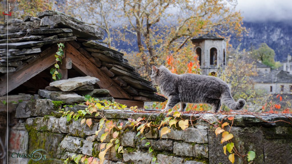 Πάπιγκο-μια μικρή Ελβετία -Vassilis Lappas photography