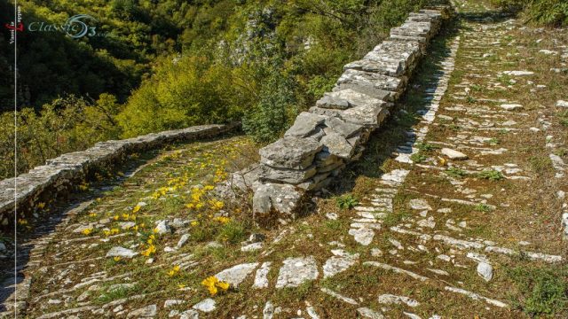 BITSA O FYSIKOS MAS PLOYTOS-Vassilis Lappas photography-0010