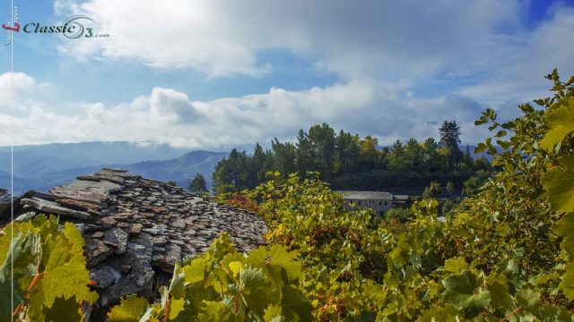 BITSA O FYSIKOS MAS PLOYTOS-Vassilis Lappas photography-0019