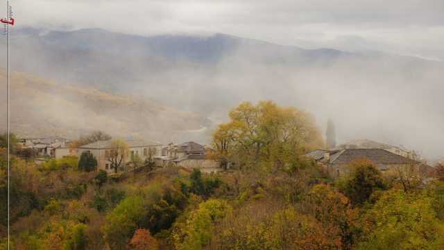 BITSA O FYSIKOS MAS PLOYTOS-Vassilis Lappas photography-005