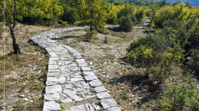 BITSA O FYSIKOS MAS PLOYTOS-Vassilis Lappas photography-009