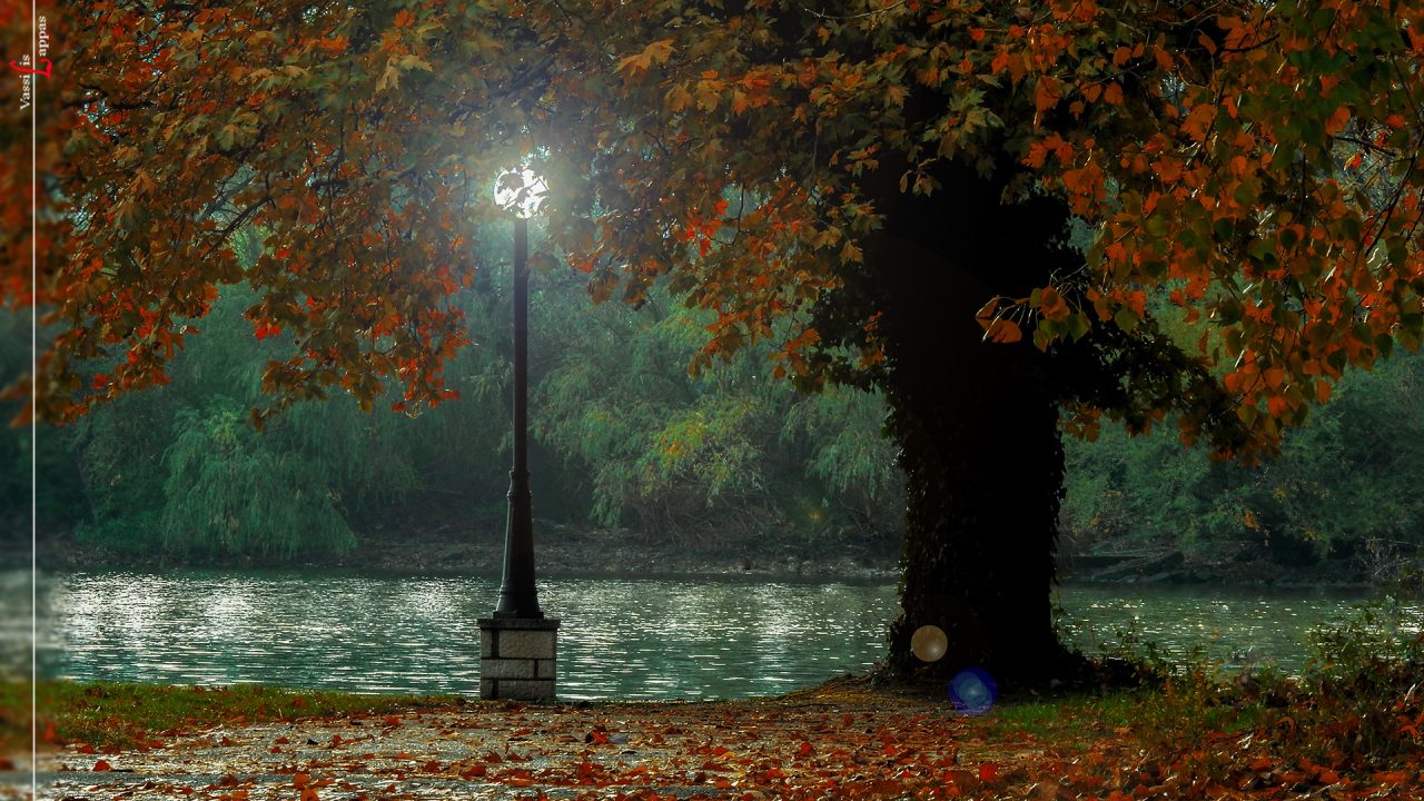 12-01-2026-Vassilis Lappas Photography