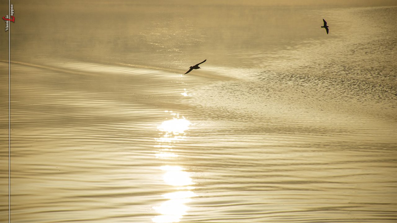 JOURNEYS OF THE MIND-19-8-25-Vassilis lappas Photography