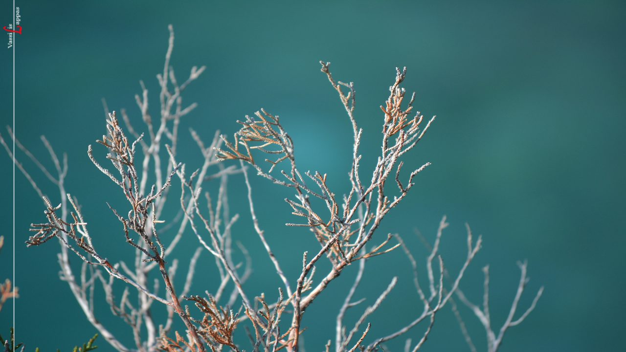 Ταξίδια του Νου-30-01-26-Vassilis lappas Photography
