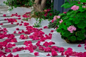 Μύκονος-Μια Κοσμοπολίτικη Όαση